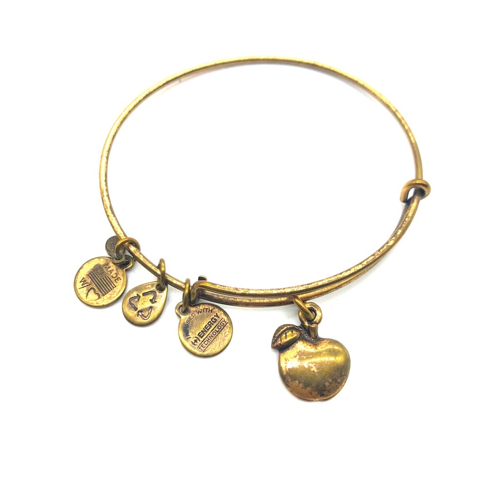 Alex and Ani Bracelet Apple charm